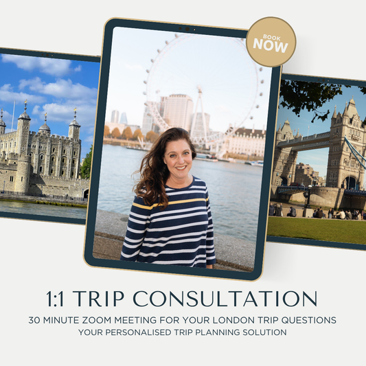 1:1 Travel Consultation